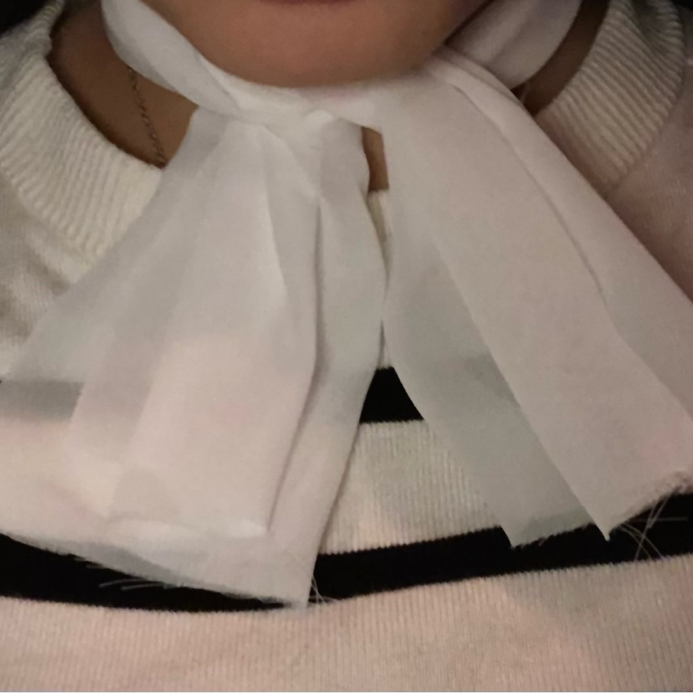 Hepburn’s Elegance Classic Neck Tie